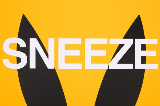 SNEEZE, 2020 (Deckled Edge)